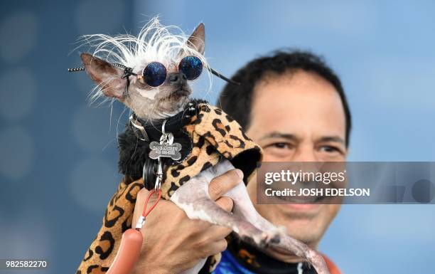 Rascal Deux, a Chinese Crested, wears sunglasses while being held up by his owner Dane Andrew during The World's Ugliest Dog Competition in Petaluma,...