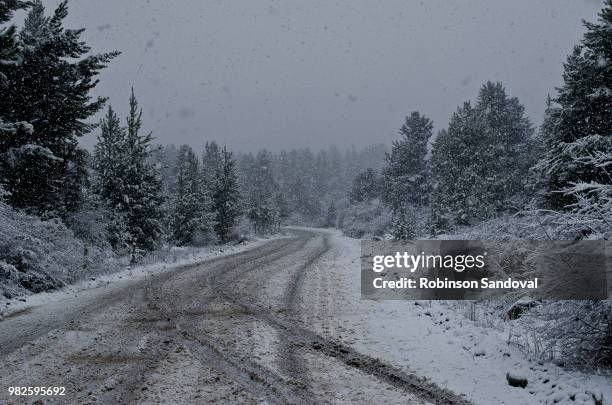 road winter - linda sandoval - fotografias e filmes do acervo