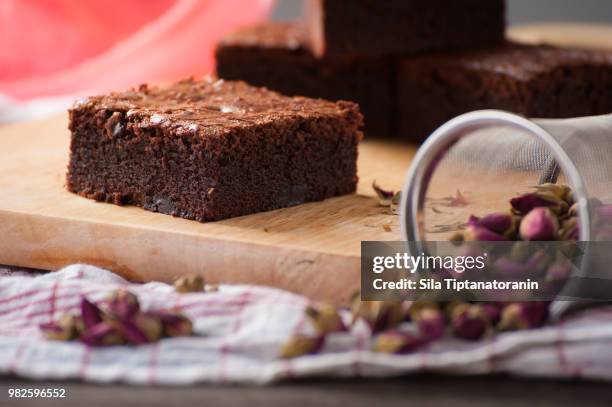 brownie - sila stock pictures, royalty-free photos & images