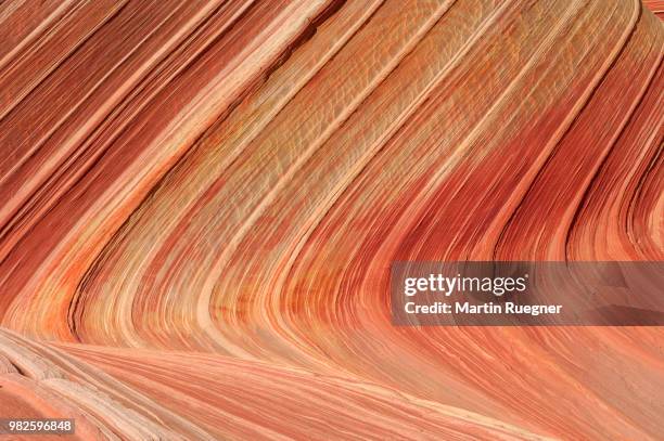 close up of sandstone rock formations at paria canyon-vermilion cliffs wilderness. coyote buttes north, paria sandhills, vermilion cliffs, colorado plateau,  arizona, usa, america. - paria canyon stock pictures, royalty-free photos & images