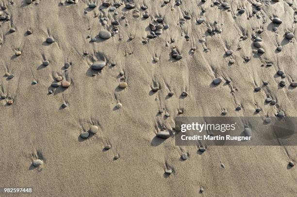 small stones on sandy beach. olympic national park, pacific northwest, washington state, usa, america. - sandy martin stock-fotos und bilder