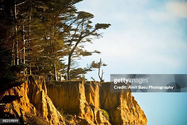 cliff on california coast - amit basu stockfoto's en -beelden