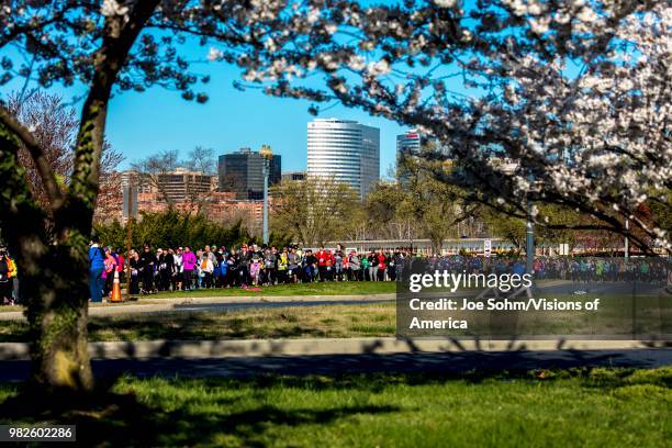 Cherry Blossom 10 Mile Run, Washington D.C. With Rosslyn skyline in background.