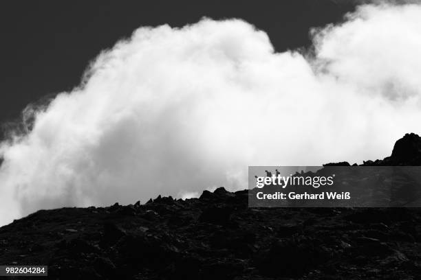 downward - weiß stockfoto's en -beelden