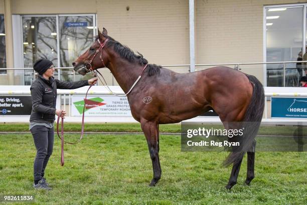 Holy Freeze after winning the Hygain Winnerâs Choice BM64 Handicap, at Sportsbet-Ballarat Racecourse on June 24, 2018 in Ballarat, Australia.