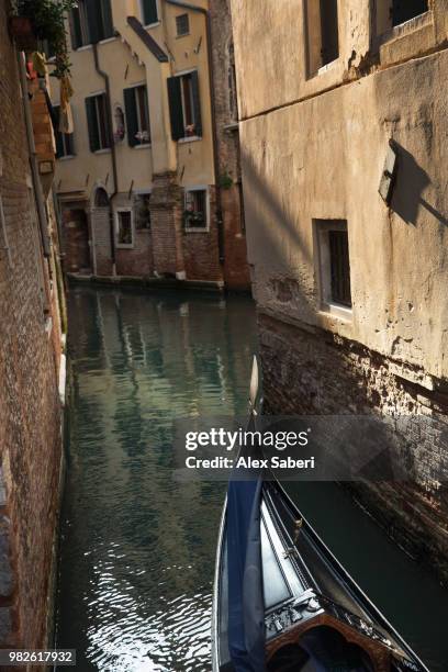 venice, italy. - alex saberi - fotografias e filmes do acervo