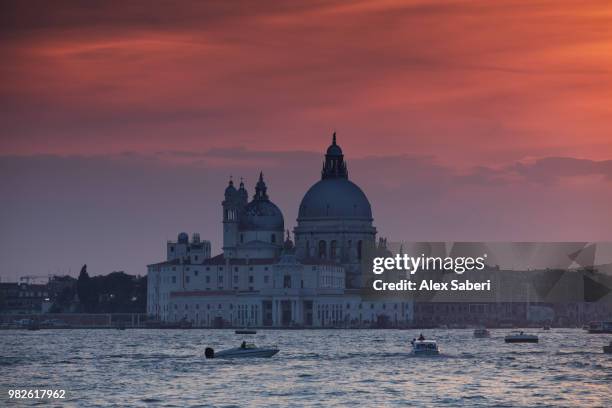 venice, italy. - alex saberi - fotografias e filmes do acervo