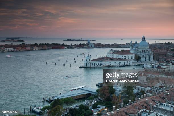 venice, italy. - alex saberi stock pictures, royalty-free photos & images