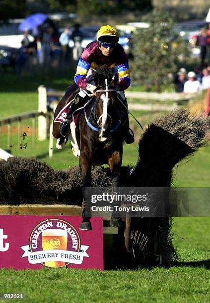 Brett Steven Photos and Premium High Res Pictures Getty Images