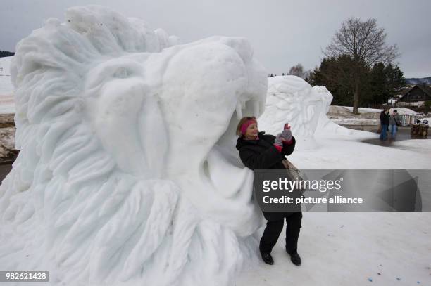 Visitor takes a selfie in front of the sculpture "Powerful" by Peter Hermann and Grant Rundblade from the US in Bernau, Germany, 28 January 2018. The...