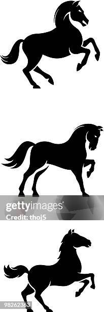 ilustrações, clipart, desenhos animados e ícones de cavalo conjunto 4 - mustang wild horse