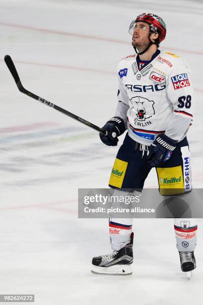 Berlin's James Sheppard reacts after a missed scoring opportunity during the DEL ice hockey match between Nuernberg Ice Tigers and Eisbaeren Berlin...