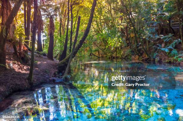 Hamurana Springs Photos and Premium High Res Pictures - Getty Images
