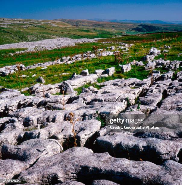 Limestone pavement Yorkshire Dales national park England.