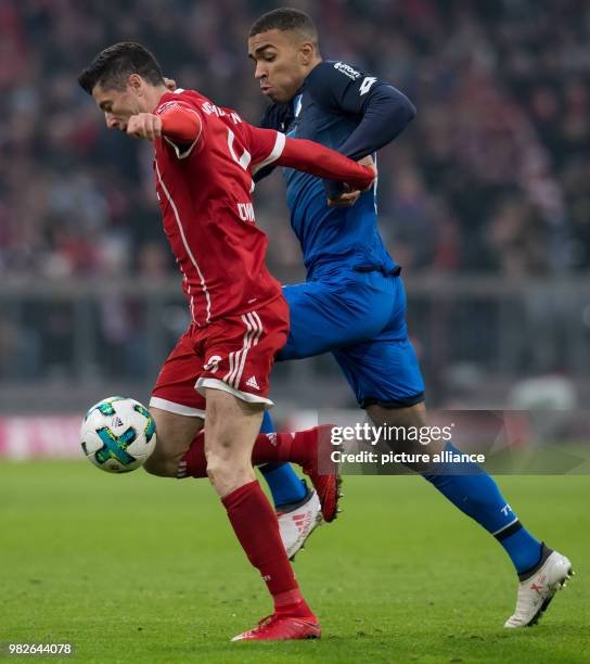 Robert Lewandowski of Munich and Kevin Akpoguma of Hoffenheim vie for the ball during the German Bundesliga football match between Bayern Munich and...