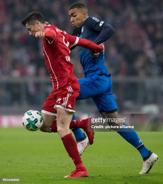 Bayern Munich's Robert Lewandowski and Hoffenheim's Kevin Akpoguma vie for the ball during the German Bundesliga football match between Bayern Munich...