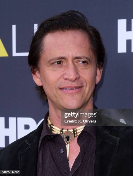 Actor Clifton Collins Jr. Attends NALIP 2018 Latino Media Awards at The Ray Dolby Ballroom at Hollywood & Highland Center on June 23, 2018 in...