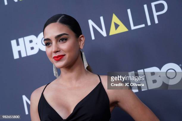 Actor Melissa Barrera attends NALIP 2018 Latino Media Awards at The Ray Dolby Ballroom at Hollywood & Highland Center on June 23, 2018 in Hollywood,...