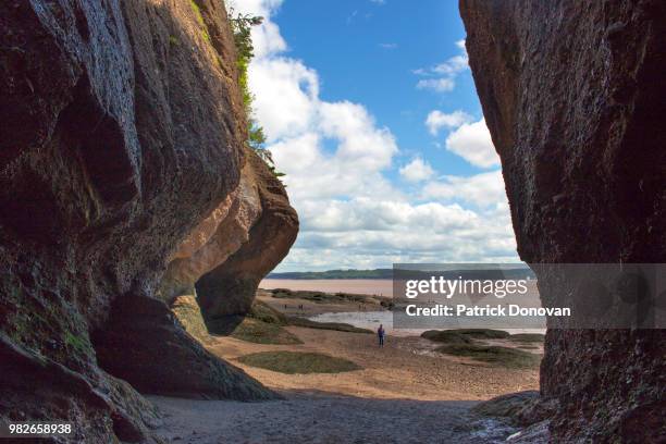 hopewell rocks, new brunswick - flower pot island stock pictures, royalty-free photos & images