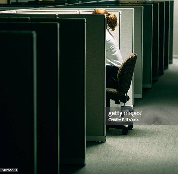 woman in a cubicle - office cubicle 個照片及圖片檔