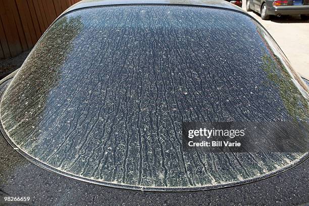 dirty car window - dirty car stock pictures, royalty-free photos & images