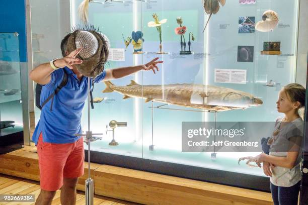 Portugal, Coimbra, University of Coimbra, Museu da Ciencia, Science Museum, Natural History Specimen Gallery.