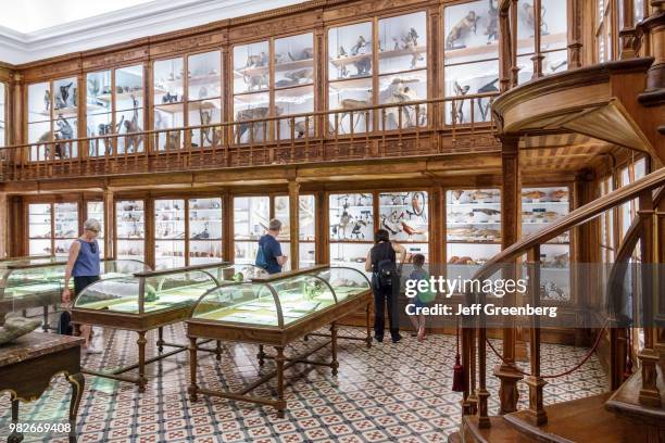 Portugal, Coimbra, University of Coimbra, Museu da Ciencia, Science Museum, Natural History Specimen Gallery.