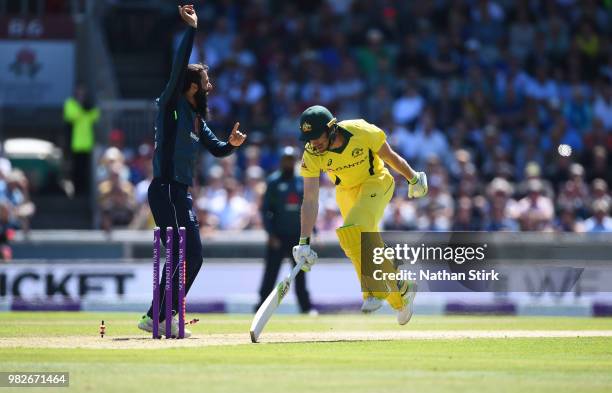 Moeen Ali celebrates as Tim Paine of Australia is run out during the 5th Royal London ODI match between England and Australia at Emirates Old...