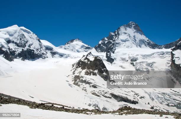 dent blanche - branco stock pictures, royalty-free photos & images