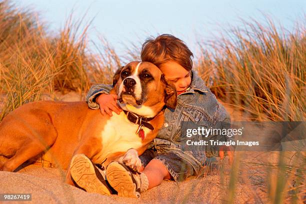 boy in field with dog - triangle day 2 stock-fotos und bilder