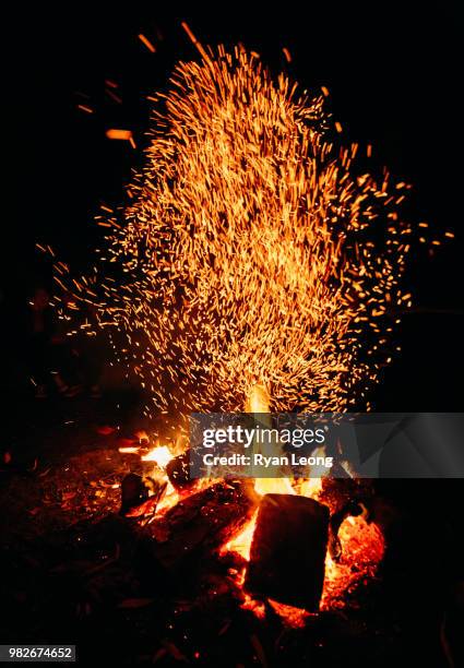 the burning tree (bush) - burning bush fotografías e imágenes de stock