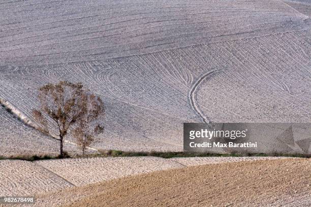 colline toscane - colline stock pictures, royalty-free photos & images