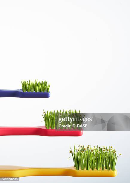 green toothbrush - dental composite stock pictures, royalty-free photos & images