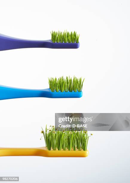 green toothbrush - dental composite stock pictures, royalty-free photos & images