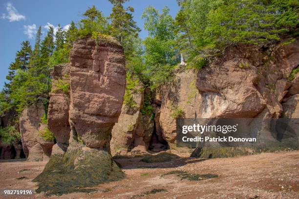 hopewell rocks, new brunswick - flower pot island stock pictures, royalty-free photos & images