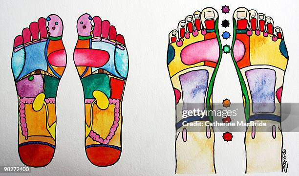reflexology chart - reflexology chart stock illustrations
