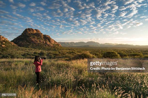 young asian female photographer taking photo of forest woodland landscape during sunrise in namibia, africa - windhoek stock pictures, royalty-free photos & images