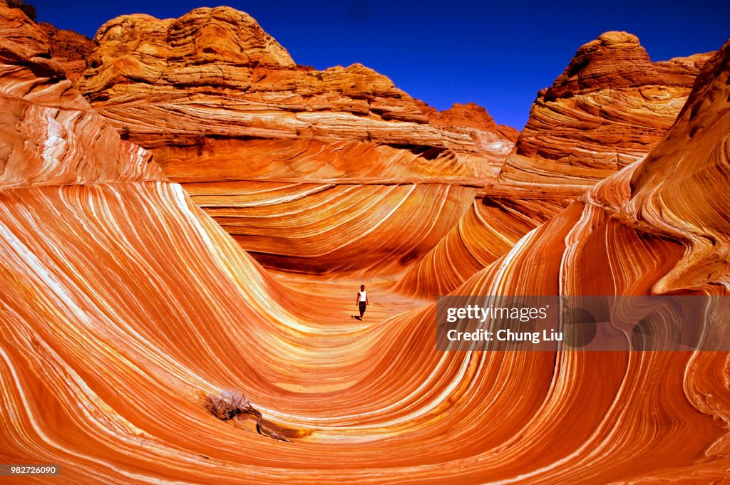 Vermilion Cliffs National Monument, Arizona, USA