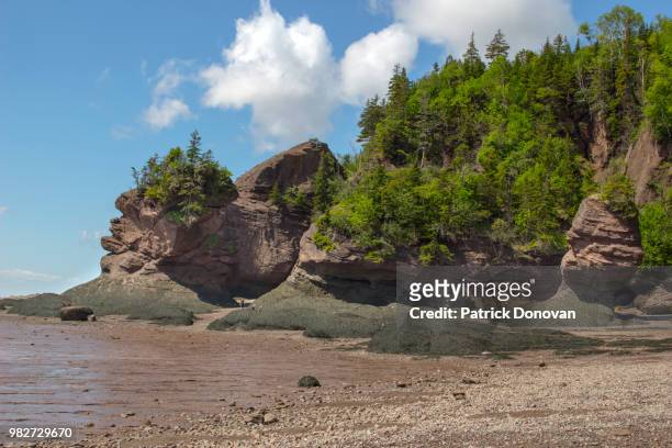 hopewell rocks, new brunswick - flower pot island stock pictures, royalty-free photos & images