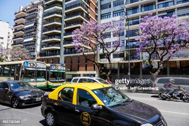 Argentina, Buenos Aires, Palermo, Avenida Presidente Figueroa Alcorta and jacaranda trees.