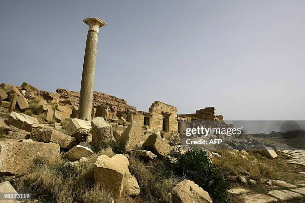 Picture taken on March 30, 2010 shows a section of the basilica of the historical site of Leptis Magna, listed as World Heritage, in the Libyan...