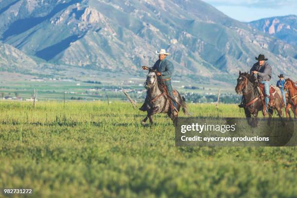 Quartered Rodeo 201 Quarter Horse Race Stock Photos, High-Res Pictures, and Images ...