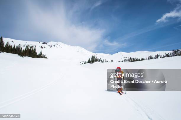 man cross country skiing towards mt shasta, california, usa - brent cross stock pictures, royalty-free photos & images