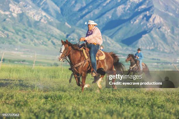 Quartered Rodeo Quarter Horse Racing Photos and Premium High Res Pictures - Getty Images