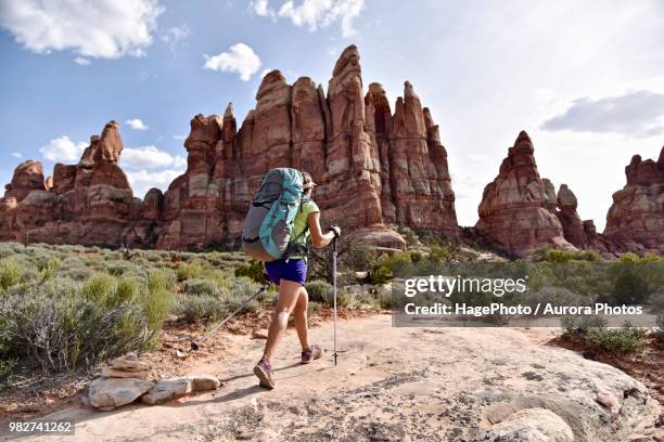 female hiker in canyonlands national park, moab, utah, usa - canyonlands needles foto e immagini stock