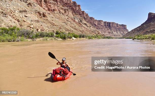woman rafting in river in canyonlands national park, moab, utah, usa - moab rafting stock pictures, royalty-free photos & images