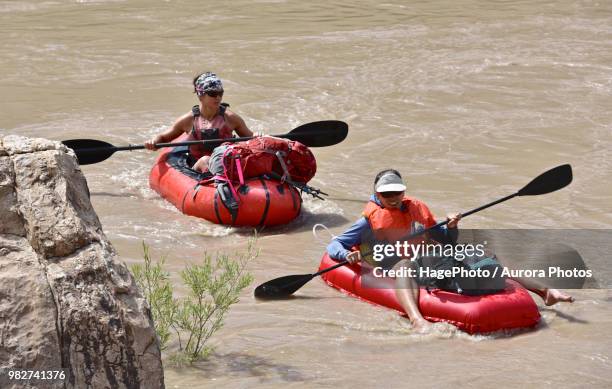 women rafting in river in canyonlands national park, moab, utah, usa - moab rafting stock pictures, royalty-free photos & images