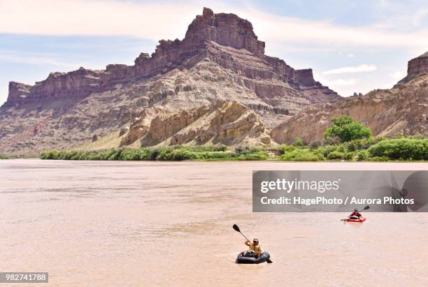 women rafting in river in canyonlands national park, moab, utah, usa - canyonlands national park bildbanksfoton och bilder