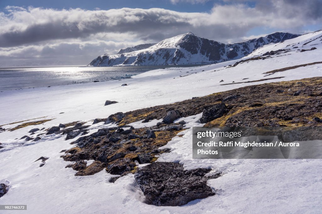 Arctic scenery with snow covered coastline, Spitsbergen, Svalbard and Jan Mayen, Norway