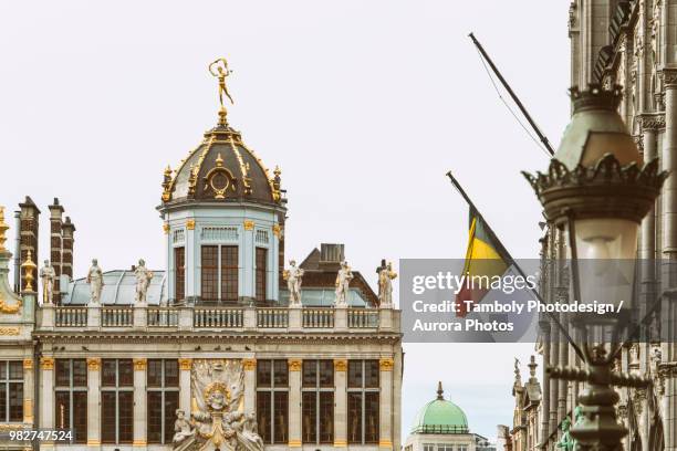 grand place, brussels, belgium - belgian culture ストックフォトと画像